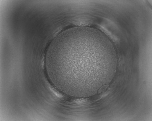 X0000070370065200606121246