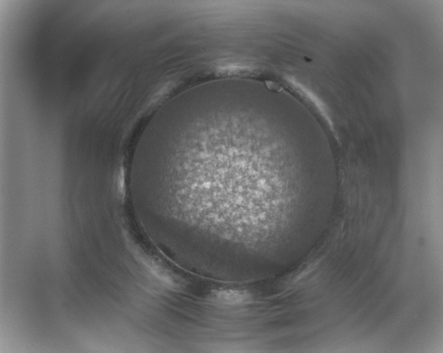 X0000070370067200606121246