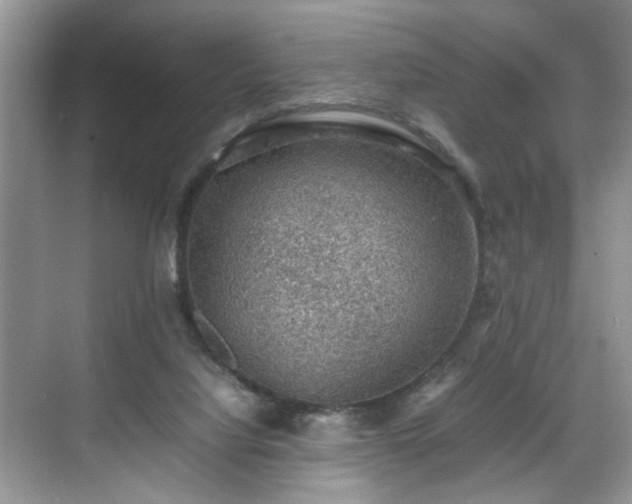 X0000070370068200606121246