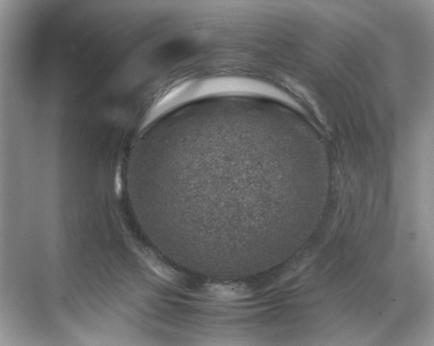 X0000070370069200606121246