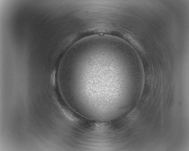 X0000070370070200606121246