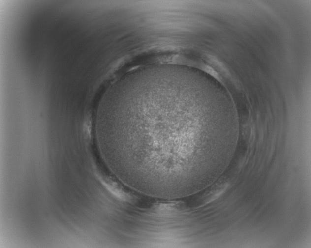 X0000070370072200606121246