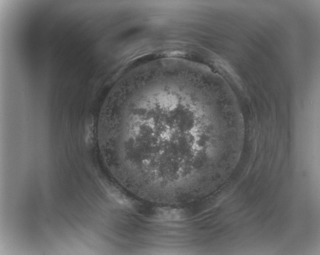 X0000070370073200606121246