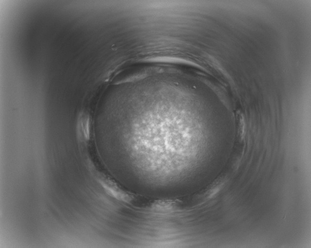 X0000070370076200606121246