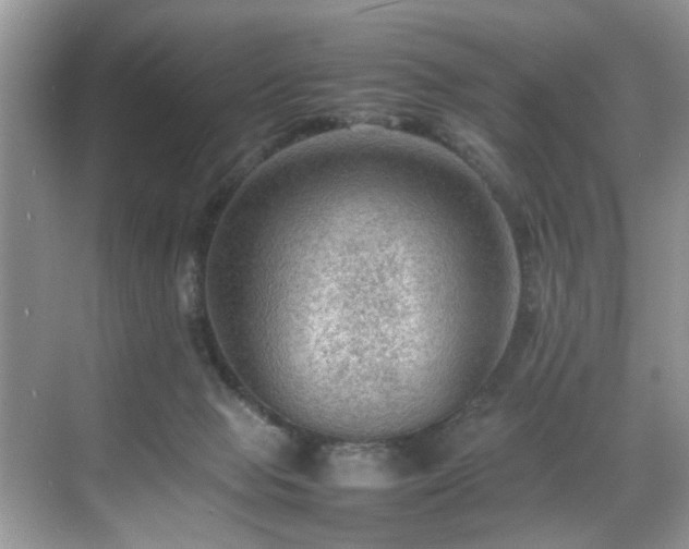 X0000070370077200606121246