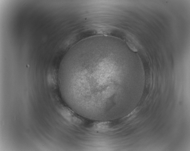 X0000070370078200606121246