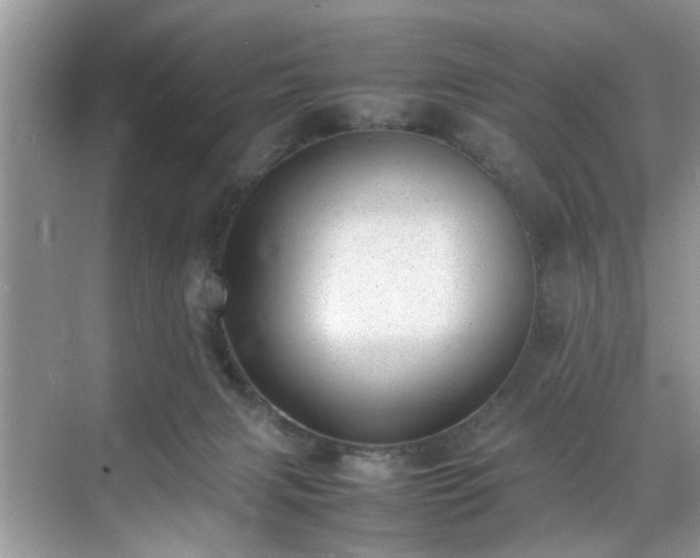 X0000070370079200606121246