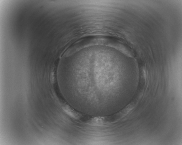 X0000070370080200606121246