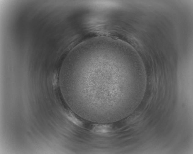 X0000070370081200606121246