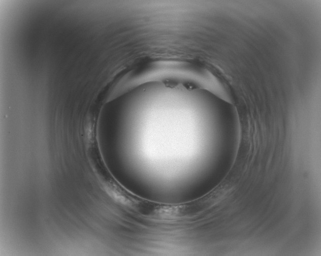 X0000070370084200606121246