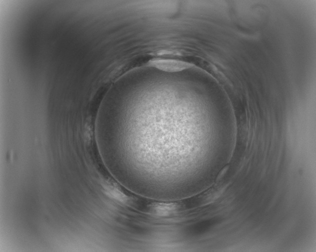 X0000070370085200606121246