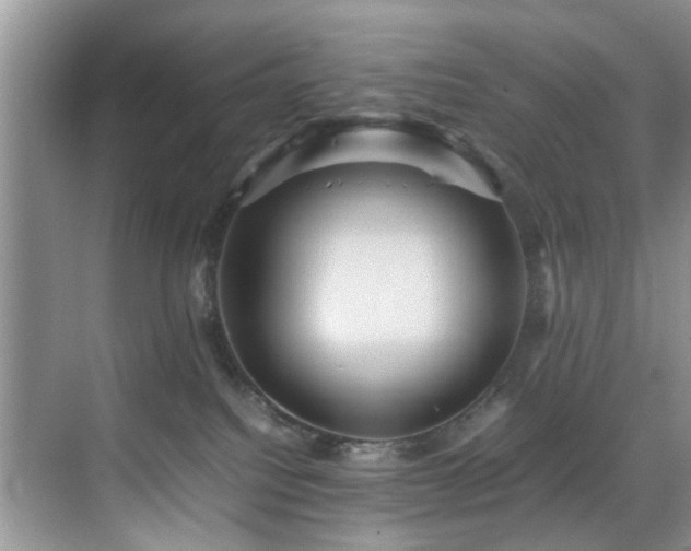 X0000070370088200606121246