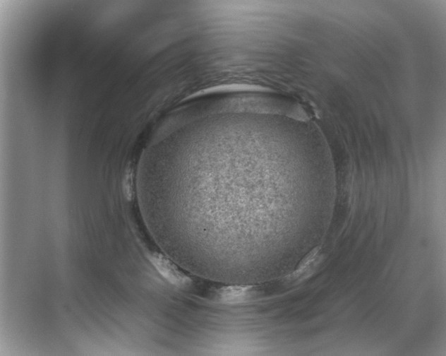 X0000070370090200606121246