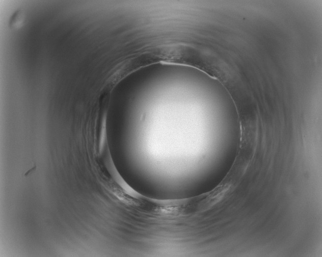 X0000070370092200606121246