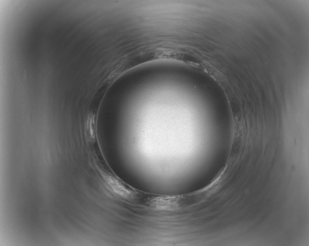 X0000070370094200606121246