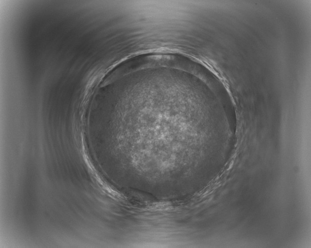 X0000070370097200606121246