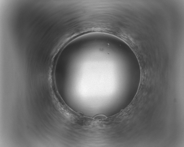 X0000070370098200606121246