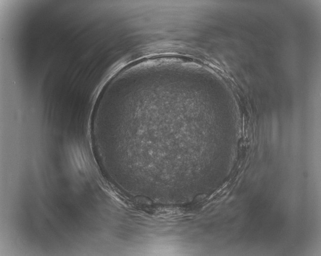 X0000070370099200606121246