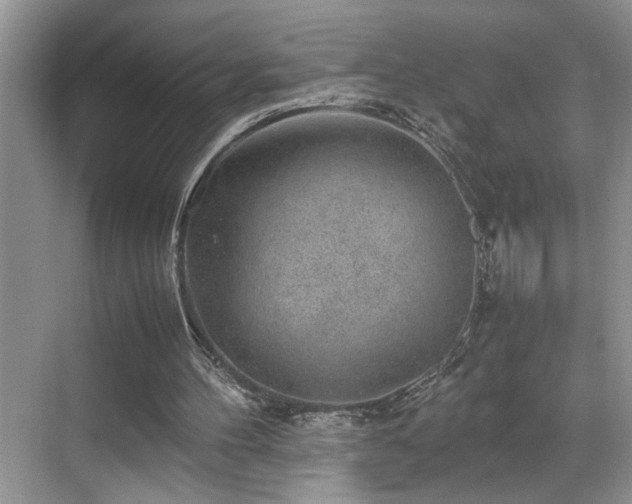 X0000070370100200606121245