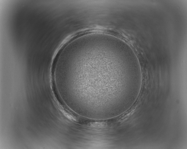 X0000070370102200606121245