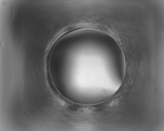 X0000070370103200606121245