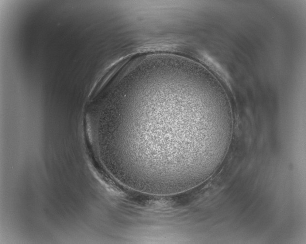 X0000070370107200606121245