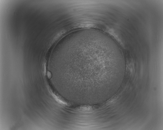 X0000070370110200606121245