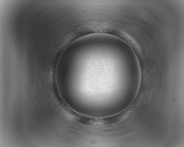 X0000070370113200606121245