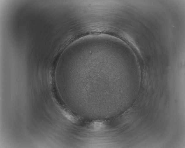 X0000070370114200606121245