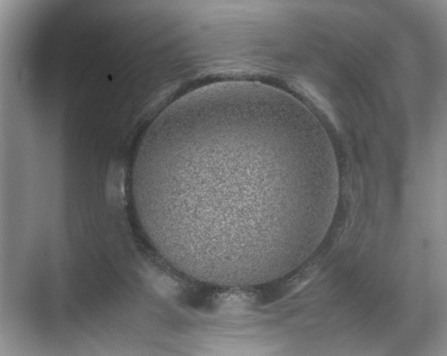 X0000070370115200606121245