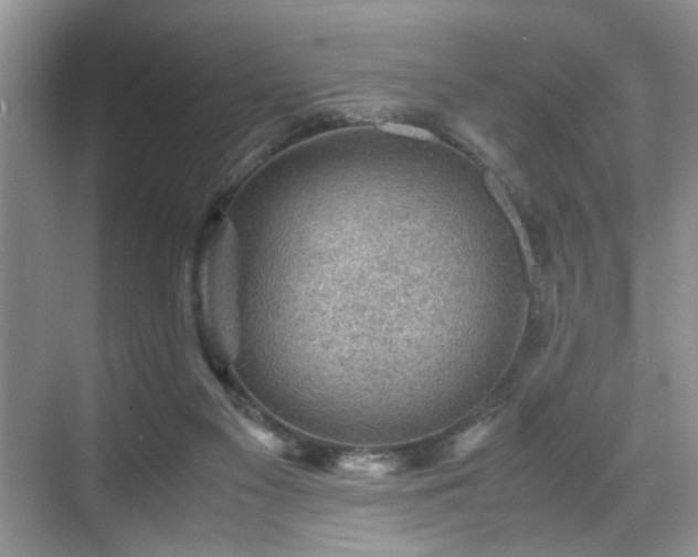 X0000070370117200606121245