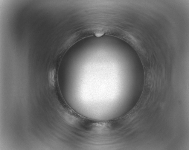 X0000070370118200606121245