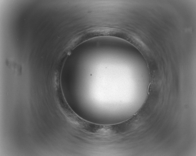 X0000070370119200606121245