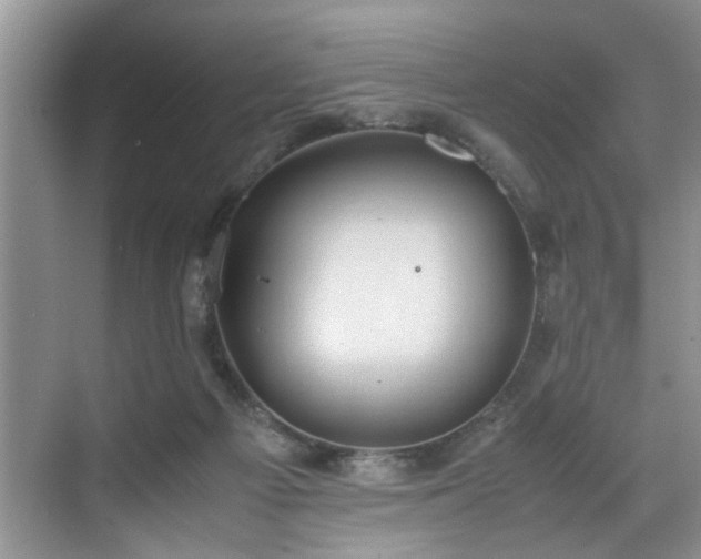 X0000070370121200606121245