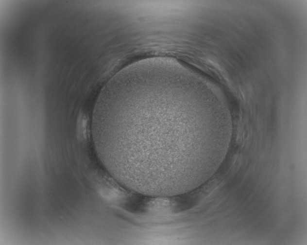 X0000070370123200606121245