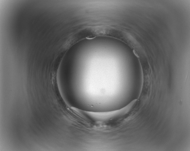 X0000070370125200606121245