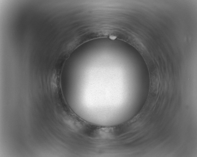 X0000070370126200606121245