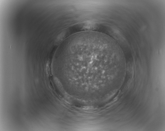 X0000070370127200606121245