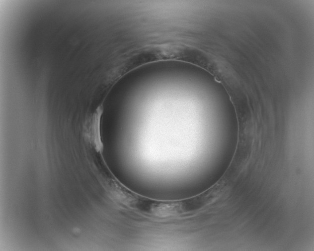 X0000070370129200606121245