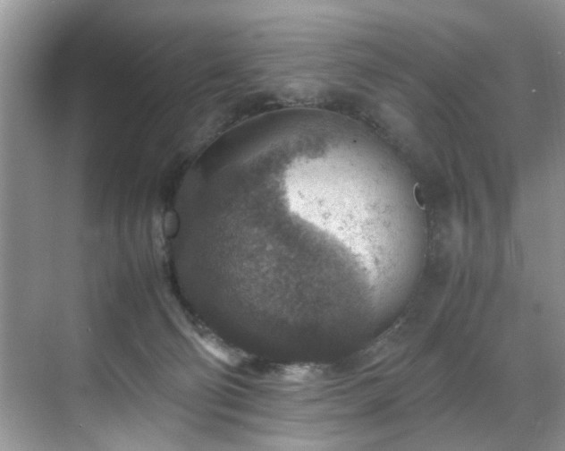 X0000070370130200606121245