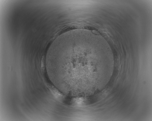 X0000070370131200606121245