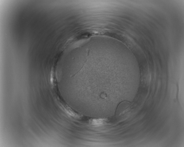 X0000070370134200606121245