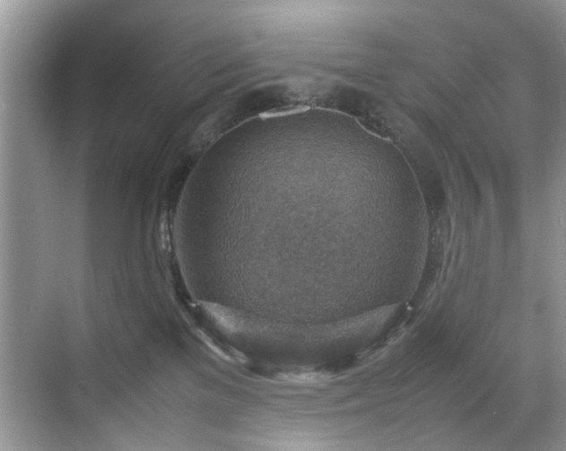 X0000070370137200606121245