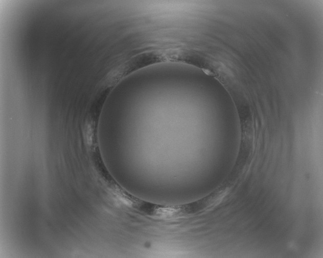 X0000070370139200606121245