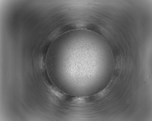 X0000070370140200606121245