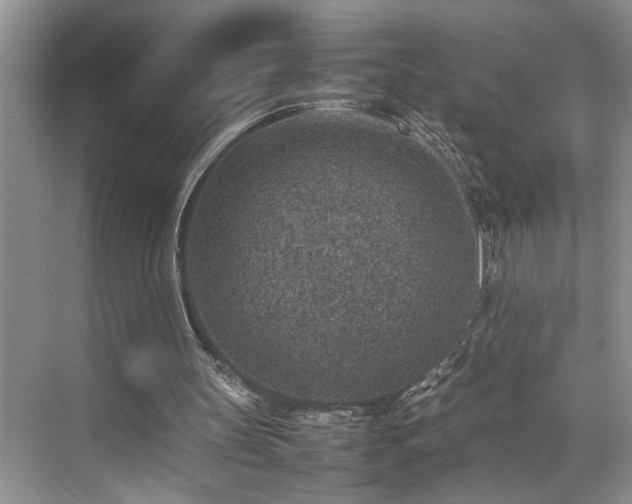 X0000070370147200606121244