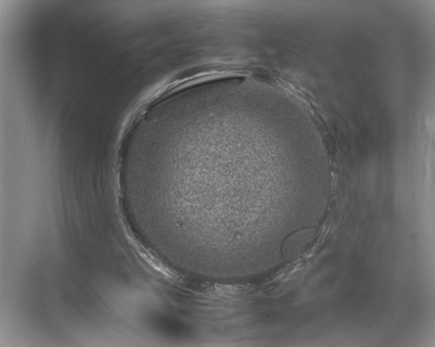 X0000070370149200606121244