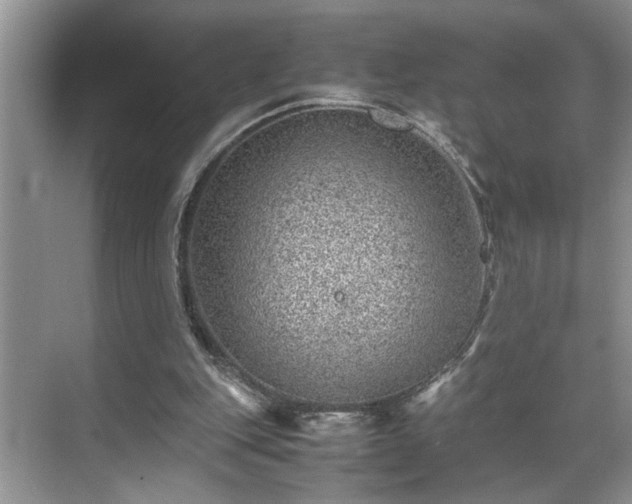 X0000070370151200606121244