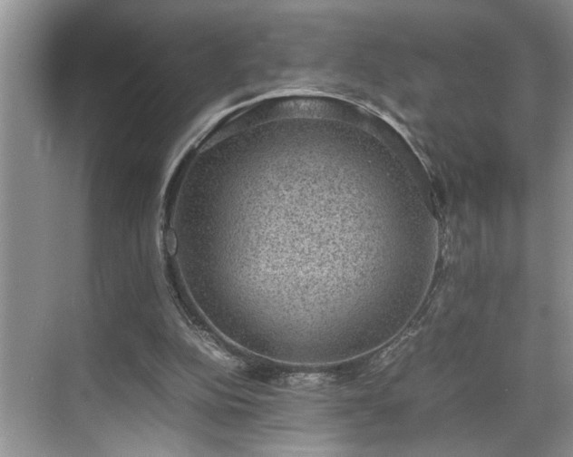 X0000070370152200606121244