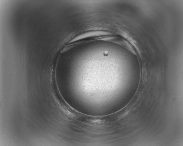 X0000070370153200606121244